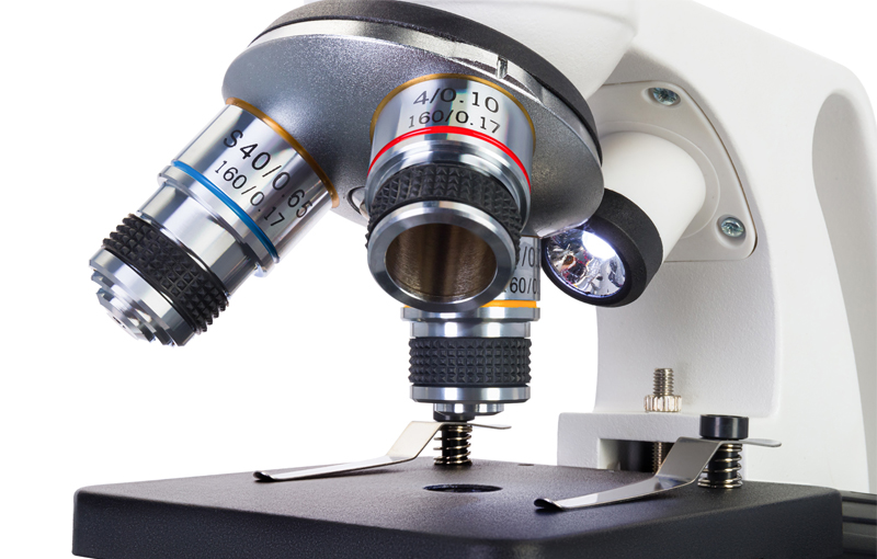 Microscopes Levenhuk’s official website in Europe