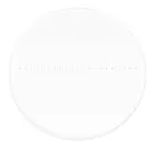 picture MAGUS CSS1 Calibration Slide for Stereomicroscopes (0.1)