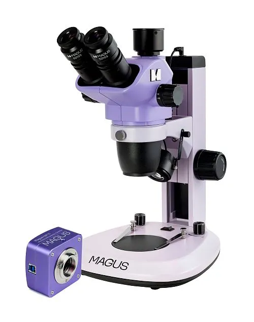 image MAGUS Stereo D7T BASE Digital Stereomicroscope