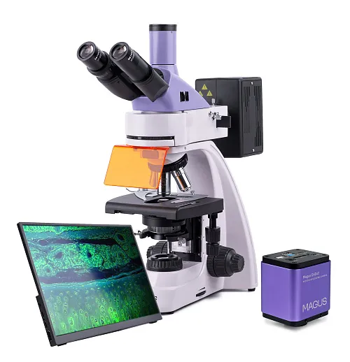 photo MAGUS Lum D400 LCD Fluorescence Digital Microscope