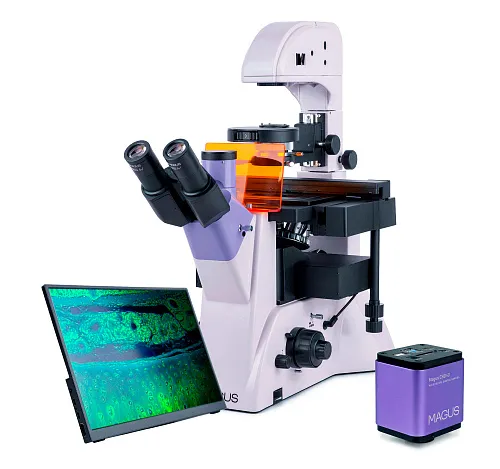 image MAGUS Lum VD500L LCD Fluorescence Inverted Digital Microscope