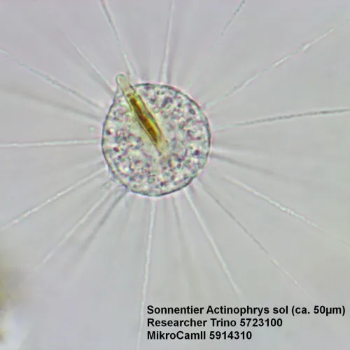 photo Bresser Researcher Trino 40–1000x Microscope,  15