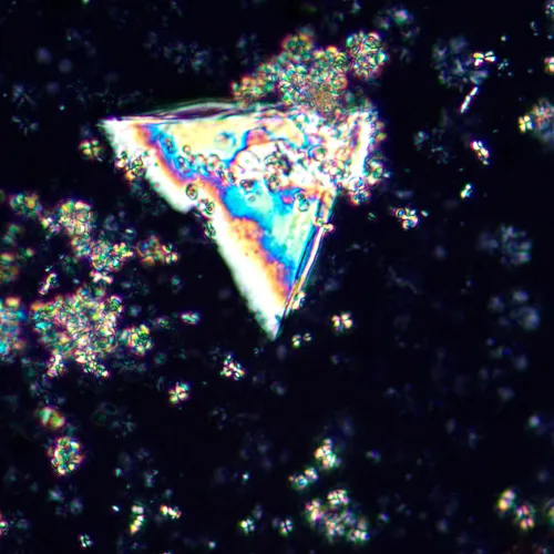 image MAGUS Pol D850 Polarizing Digital Microscope,  25