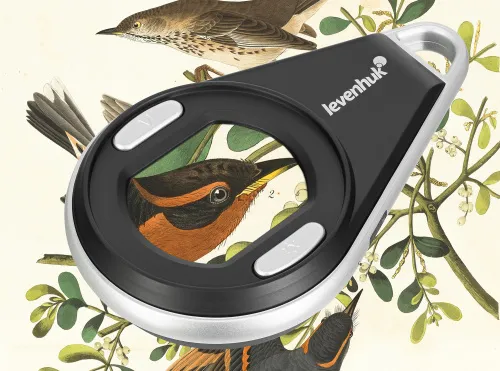 image Levenhuk ERGO 10 Digital Magnifier,  4