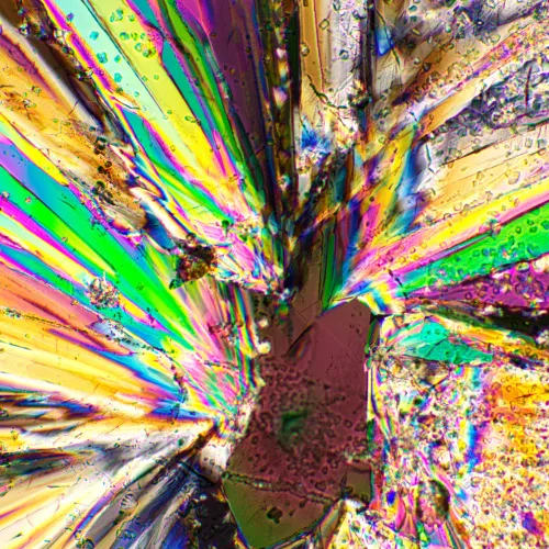 image MAGUS SPD2 Polarizer/Analyzer Set,  2