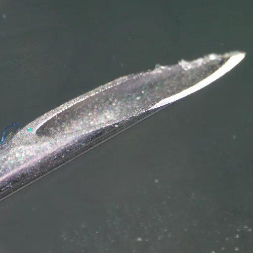 image MAGUS Stereo 9T Stereomicroscope,  22