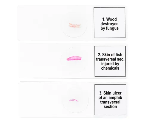 image Levenhuk Discovery Prof Specimens DPS 5. “Mutations”,  6