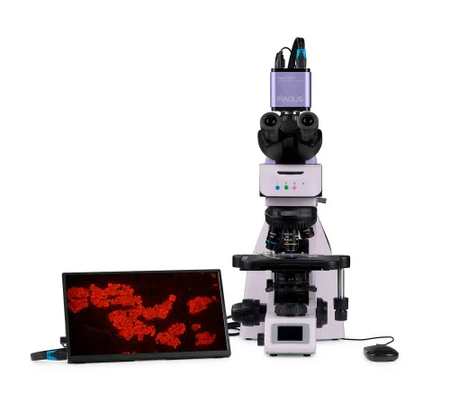 picture MAGUS Lum D460L LCD Fluorescence Digital Microscope,  10