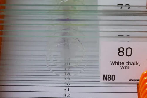 photo Levenhuk N80 NG "See it all" Slides Set,  4