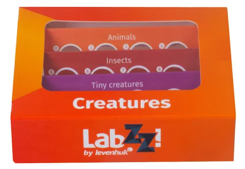 photo Levenhuk LabZZ C12 Creatures Prepared Slides Set,  7