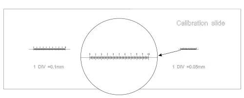 picture MAGUS CS3 Calibration Slide (0.01/0.05/0.1),  6