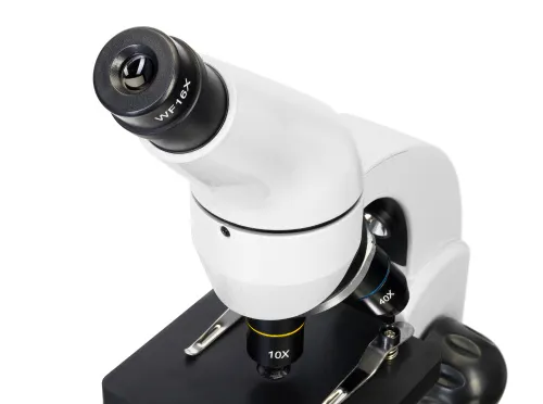 photograph Levenhuk Rainbow D50L PLUS 2M Digital Microscope, Moonstone,  9