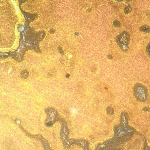 photograph MAGUS Metal V790 DIC Metallurgical Inverted Microscope,  21