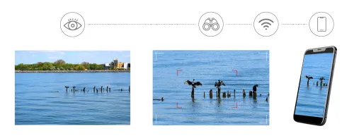 photo Levenhuk Kelvin Snap ED 8x42 Digital Photomonocular,  7