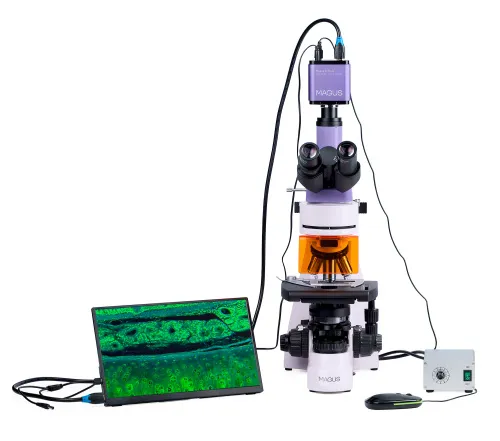 picture MAGUS Lum D400L LCD Fluorescence Digital Microscope,  6