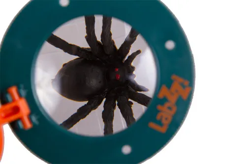 photograph Levenhuk LabZZ C1 Insect Can,  7