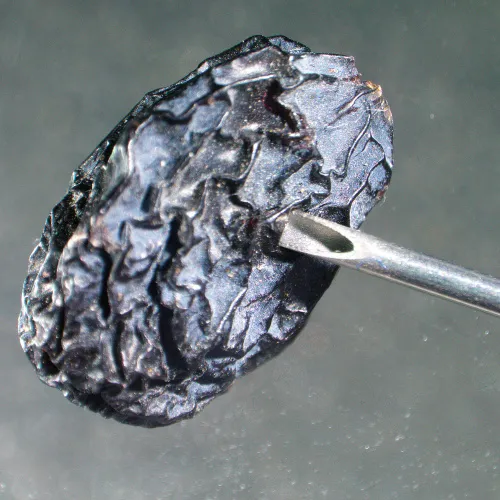 picture MAGUS Stereo A6 Stereomicroscope,  14