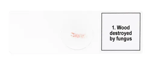 image Levenhuk Discovery Prof Specimens DPS 5. “Mutations”,  7