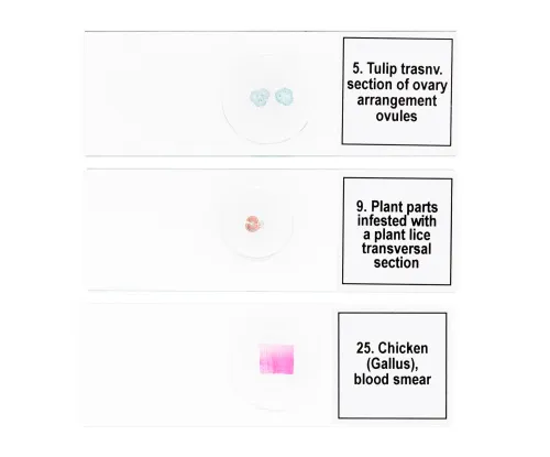 image Levenhuk Discovery Prof Specimens DPS 25. “Biology, Birds, etc.”,  8