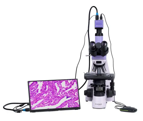 image MAGUS Bio D250TL LCD Biological Digital Microscope,  7