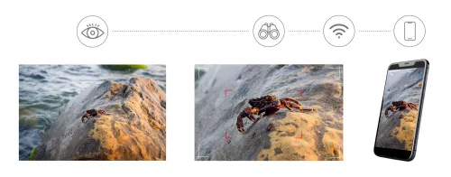 photo Levenhuk Kelvin Snap ED 8x42 Digital Photomonocular,  6