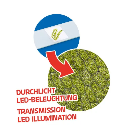 photo Bresser Junior Microscope & Telescope Set,  7