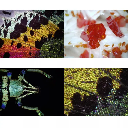 photograph Bresser DST1028 USB Digital Microscope,  4