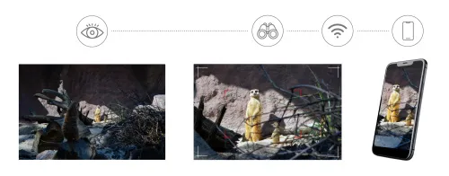 photo Levenhuk Kelvin Snap ED 8x42 Digital Photomonocular,  5