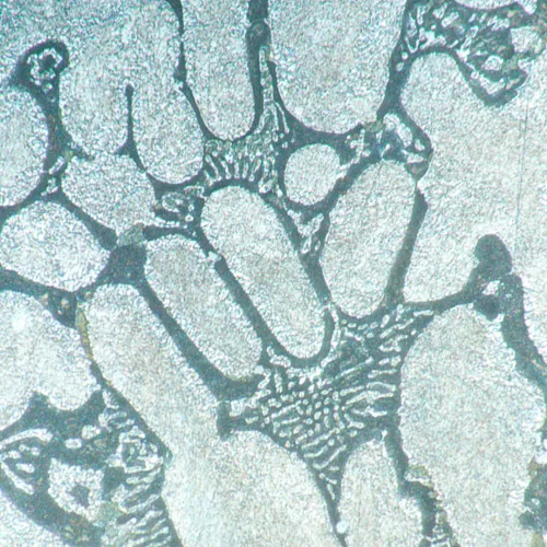 picture MAGUS Metal V700 Metallurgical Inverted Microscope,  16