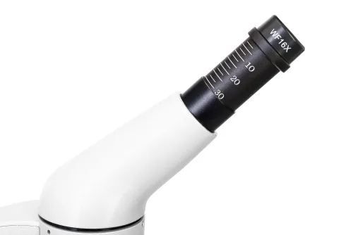 photograph Levenhuk Rainbow D50L PLUS 2M Digital Microscope, Moonstone,  10