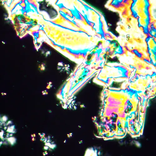 photo MAGUS Pol 890 Polarizing Microscope,  25