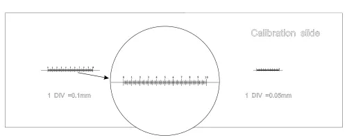picture MAGUS CS3 Calibration Slide (0.01/0.05/0.1),  4
