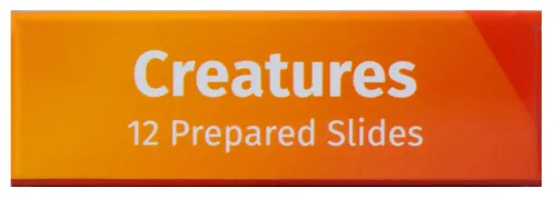 photo Levenhuk LabZZ C12 Creatures Prepared Slides Set,  8