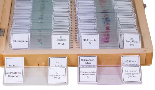 photo Bresser Prepared Slides Set 100pcs, with case,  4