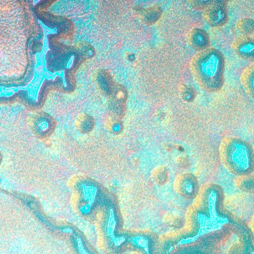 photograph MAGUS Metal V790 DIC Metallurgical Inverted Microscope,  20