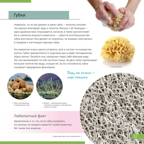 photo Invisible World. Knowledge book,  7