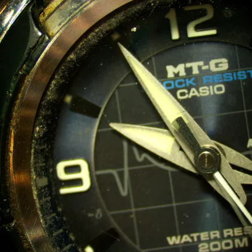 photograph MAGUS Stereo D8T PLUS Digital Stereomicroscope,  19