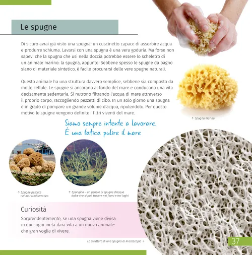 photograph Space. Microworld. Knowledge Book 2 vol,  8