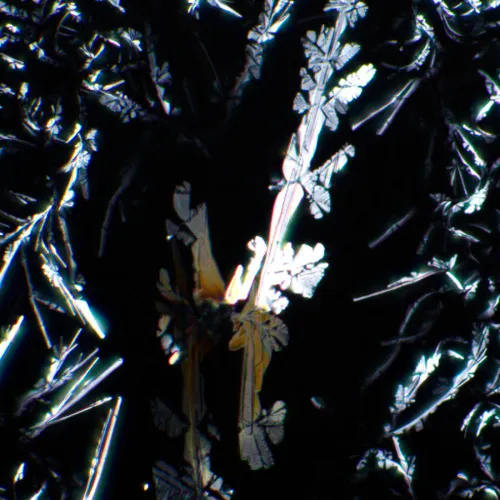 photo MAGUS SPD3 Polarizer/Analyzer Set,  7