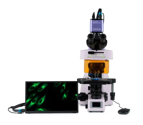 photograph MAGUS Lum D450L LCD Fluorescence Digital Microscope,  9