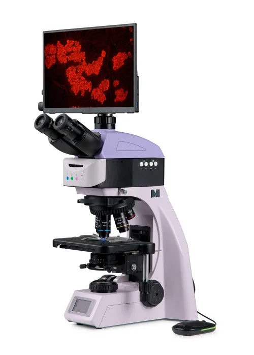 picture MAGUS Lum D460L LCD Fluorescence Digital Microscope,  2