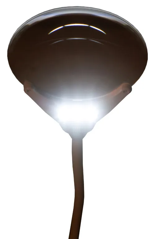 image Levenhuk Zeno Lamp ZL7 Magnifier,  11