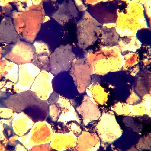 photo MAGUS Pol 890 Polarizing Microscope,  26