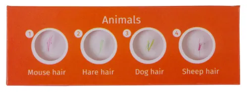 photo Levenhuk LabZZ C12 Creatures Prepared Slides Set,  2