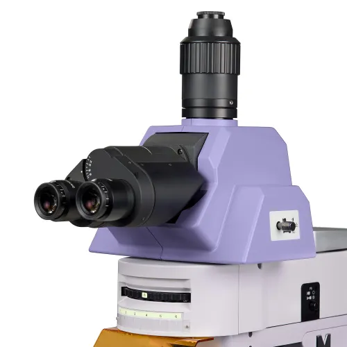 picture MAGUS Lum 490L Fluorescence Microscope,  9