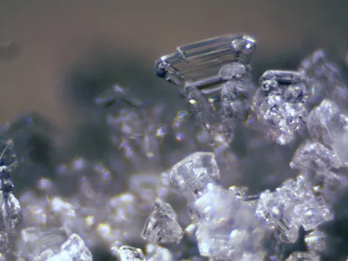 image Bresser Erudit ICD Stereo Microscope,  12