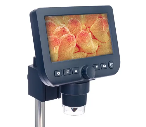 photo Levenhuk Discovery Artisan 64 Digital microscope,  5