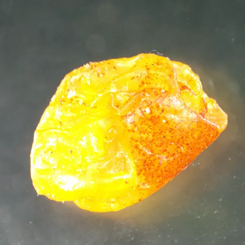 picture MAGUS Stereo A8 Stereomicroscope,  15