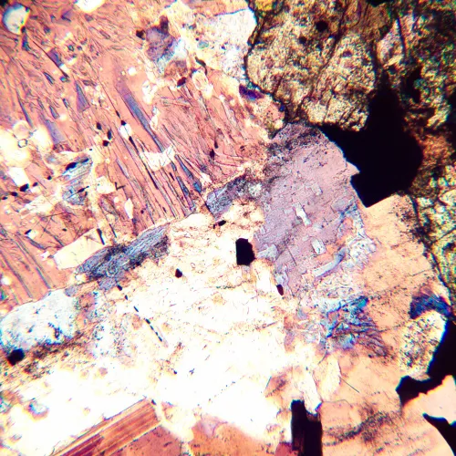 photo MAGUS Pol 800 Polarizing Microscope,  16