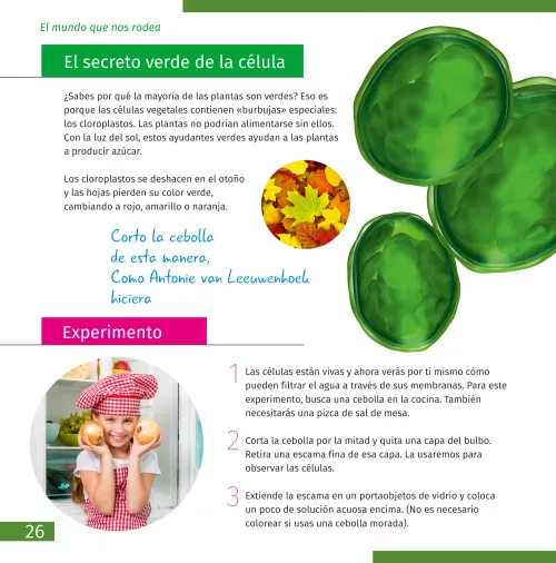 photo Levenhuk Discovery Pico Microscope,  7